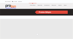 Desktop Screenshot of probimbilisim.com